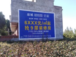 临沧品牌公司青睐的墙体广告